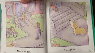 Nan and Fan (Houghton Mifflin Reading)