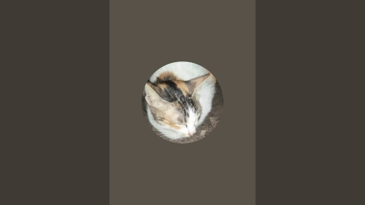 Keluarga Jalan 3 sedang live sekarang!