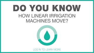 Linear Movement