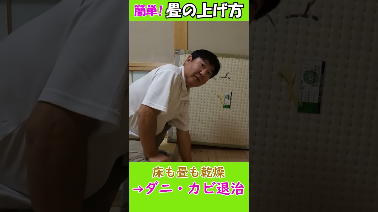 畳　今すぐ取りにきてくれる方 寸法取り レーザー&サシ To make tatami mats, a laser is used to