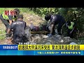 台中大甲溪釣客踩空重摔受困河床！直擊警消頂烈日崎嶇地形徒步涉水救援｜三立新聞LIVE