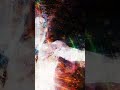 IS EARTH LIKE A VIRTUAL REALITY?