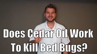 Does Cedar Oil Work To Kill Bed Bugs?