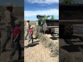Part 3 of the new fence project