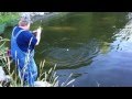 Surprise while Bluegill fishing - YouTube