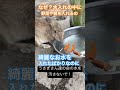 うさぎさん達の水入れを汚さないで下さい。