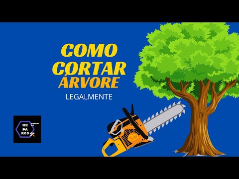 COMO TIRAR / CORTAR UMA ARVORE DO SEU QUINTAL LEGALMENTE