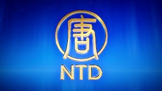 NTD PROMO screenshot 2