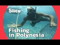 Polynesian fishing from the ocean to papeetes market  slice