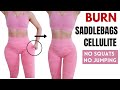 Burn HIP FAT, saddlebag & cellulite in 14 days, NO SQUATS, NO JUMPING outer thigh sculpt