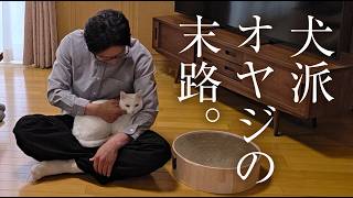 【断言】私は絶対に猫は飼いません💢