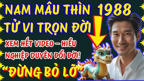 Tử vi trọn đời nam mạng 1988 – Mậu Thìn, Giàu Có Hay Đoạn Trường? Tất Cả Đều Có Lý Do cả !