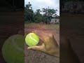 Tennis ball se air swing viral cricket trending tips