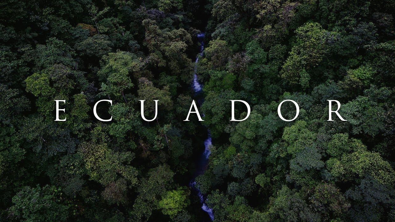 Ecuador :  Amazon & Cloud Forest ORYX Photo Tour