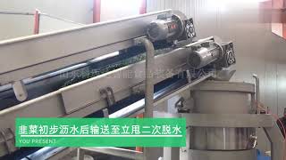 Colead vegetable washing and dehydration production line