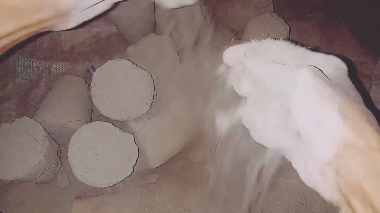 ASMR NEW night shoot wao dry crumbing 🤤 video satisfying 🤤 subscribe 