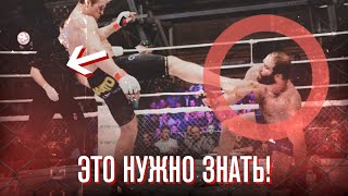 Правила и тонкости MMA: важно знать. Как считают очки в ММА и боксе?