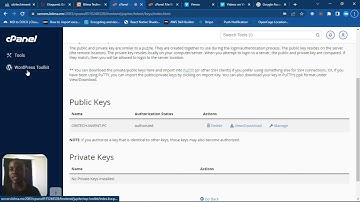 How To Deploy Your Project To A Remote Server  With CPanel Git Repository