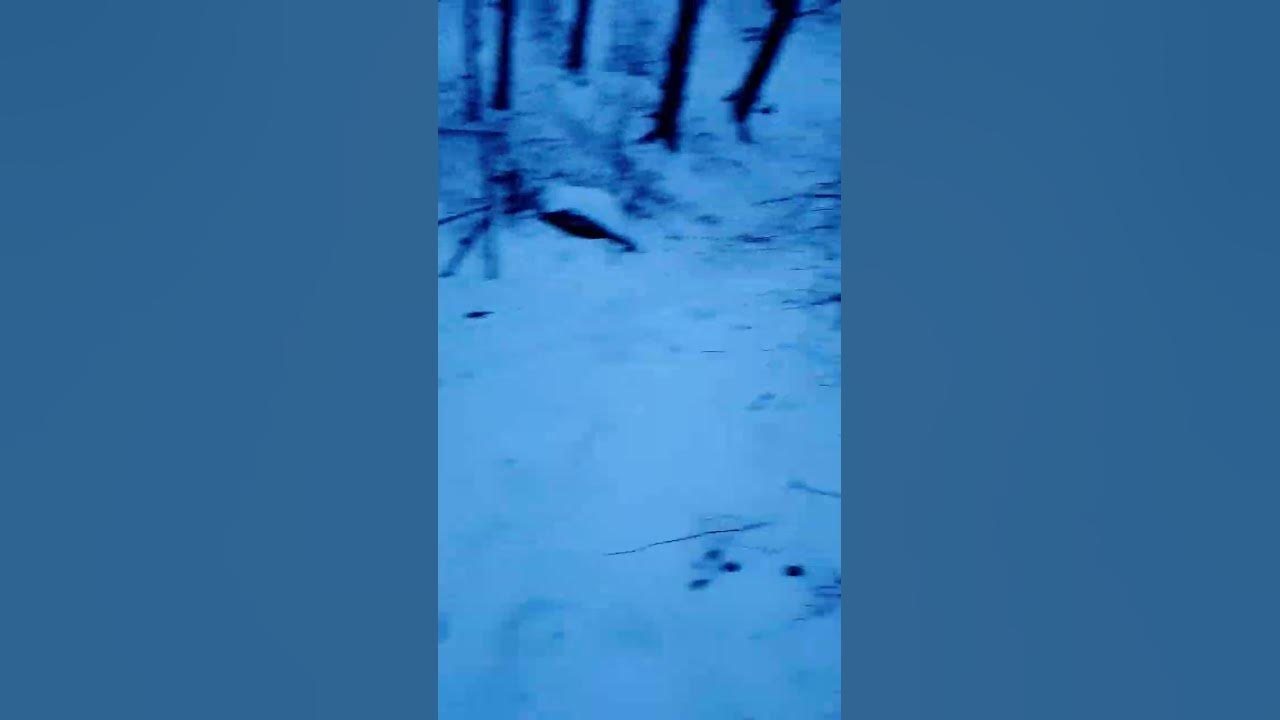 winter-in-germany-youtube