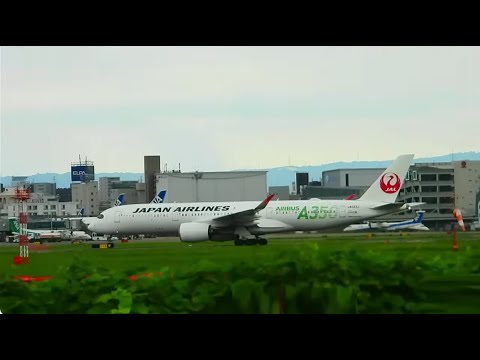天草エアライン・みぞか号 生中継!伊丹空港!! Plane Spotting Itami Airport 10/13/2025