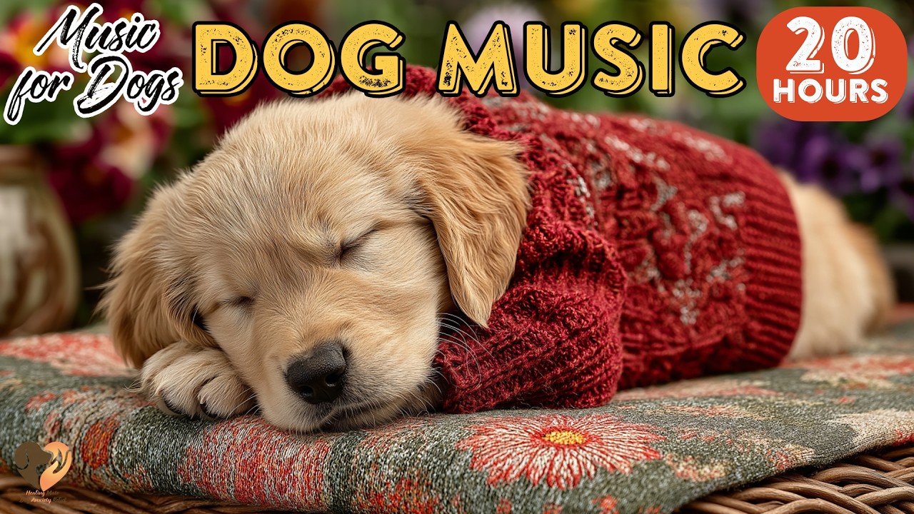 20 HOURS of Dog Calming Music🐶🎵Music for Puppies to Sleep🐶💖Soothing Comfort All Day⭐Healingmate