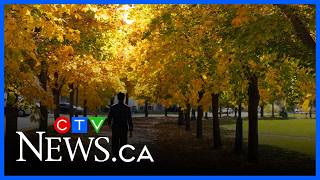 Sunshine in the forecast for Montreal this weekend