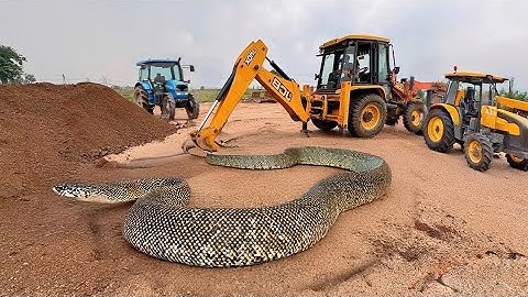JCB 3dx Backhoe Loading Mud in Mahindra 275 Di tractor JCB miti Khudai #jcb #jcbvideo