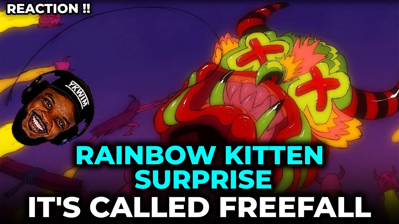 🎵 Rainbow Kitten Surprise It's Called Freefall REACTION YouTube