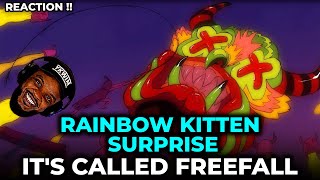 Rainbow Kitten Surprise It s Called Freefall REACTION