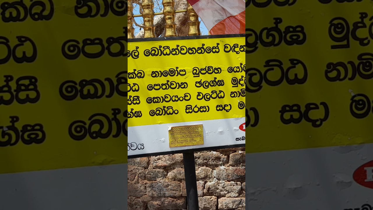 ©️Thanthirimale Bo Tree. 