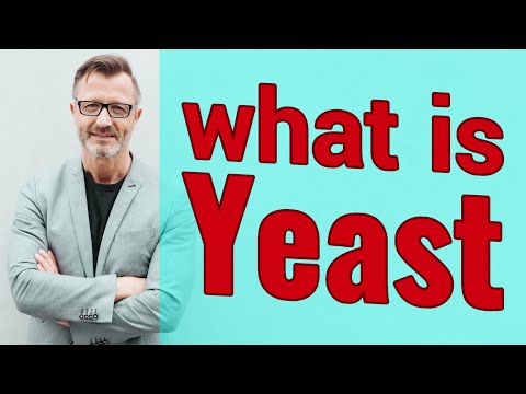 Yeast | Definition of yeast