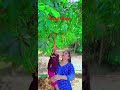 Rasili Aam #naturalbeauty #shorts #youtubeshorts #viralvideo