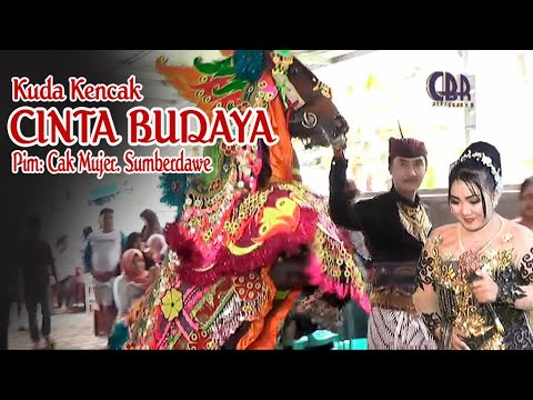 Kuda Tunggal Terbaru CINTA BUDAYA Pim: Cak Mujer Sumberdawe