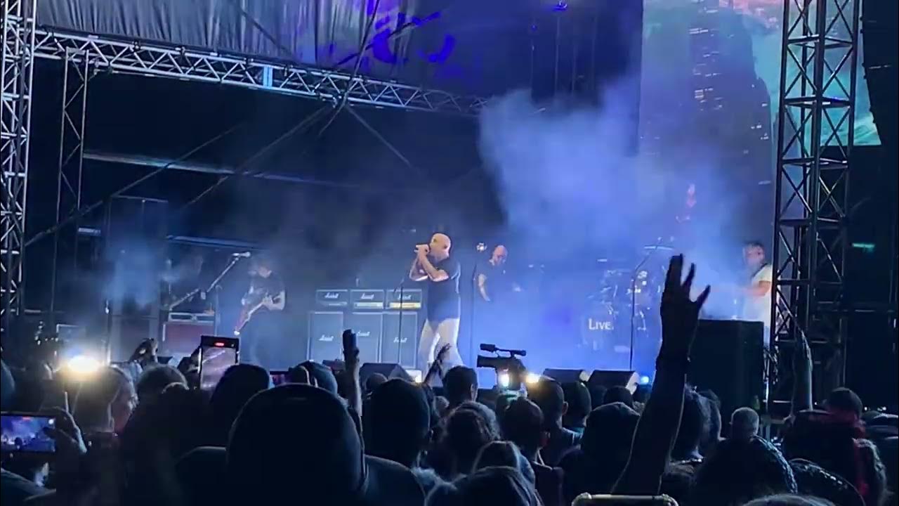 Live The Dolphin’s Cry Lookout Festival 2024, Gold Coast, Australia