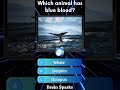 Part 345 Test your Brain knowledge #shorts #animals #quiz