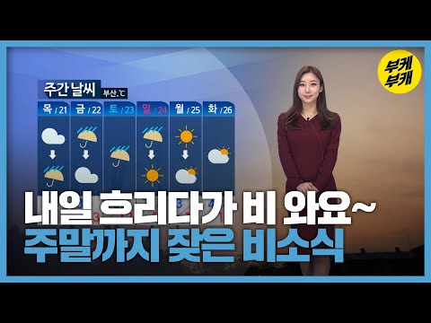   날씨 부산 내일 흐리고 비 미세먼지 좋음