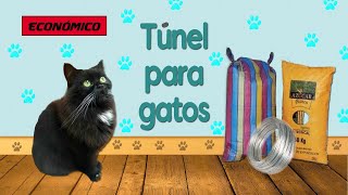 #Túnel para #gatos #ECONÓMICO | #Tunnel for #CATS | #DIY