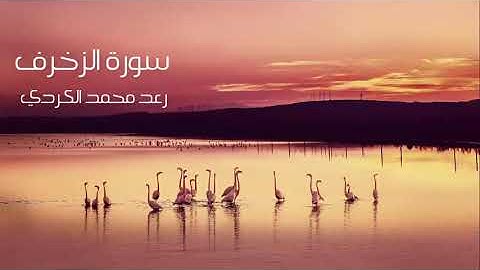 سورة الزخرف رعد الكردي