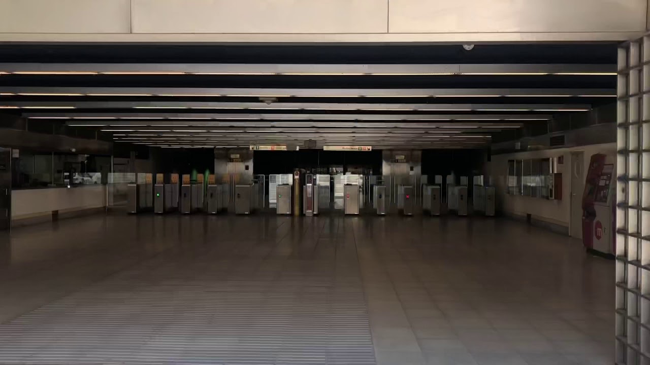 Vlog 2: Valencian Rat race