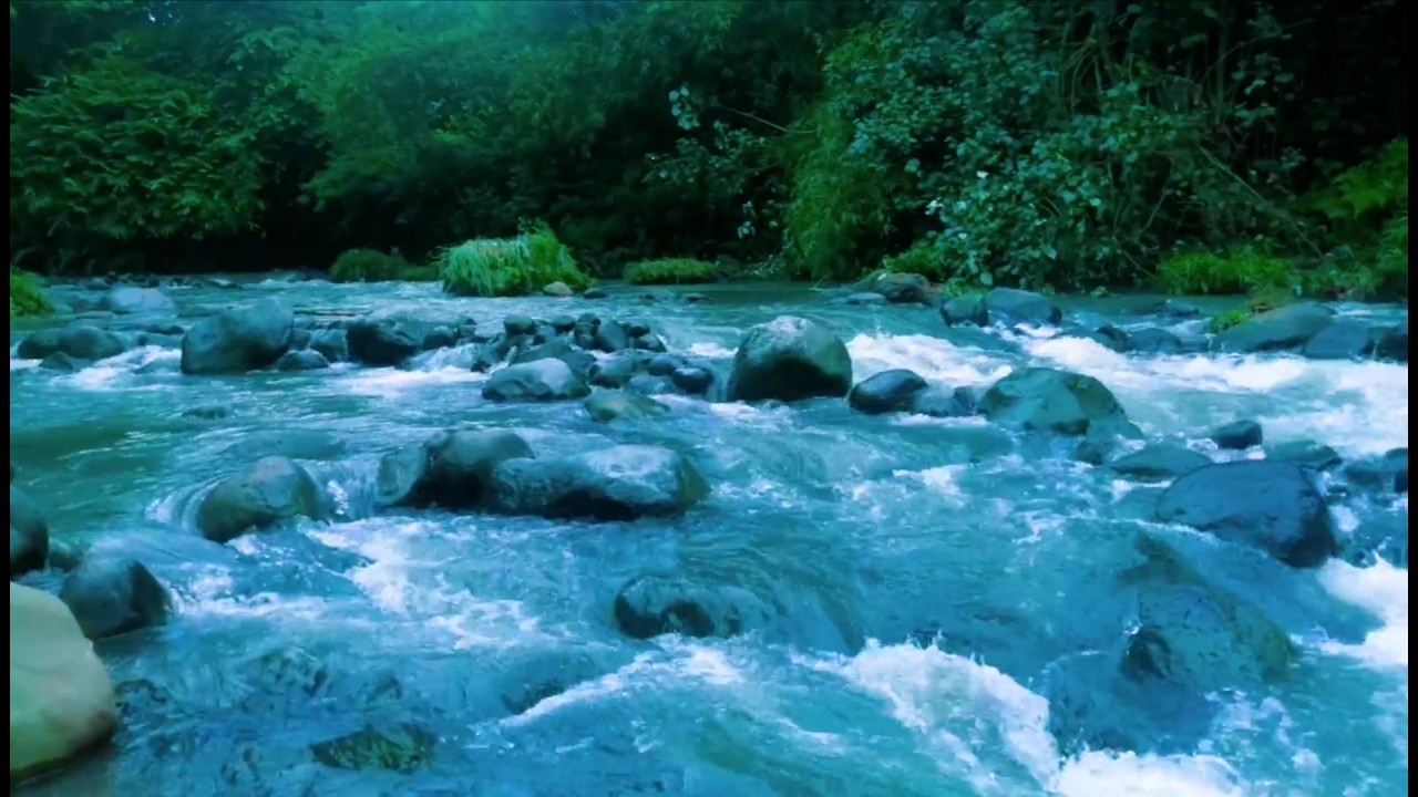 Relaxing River Sound peaceful forest improves mood, relieves stress, helps sleep soundly.