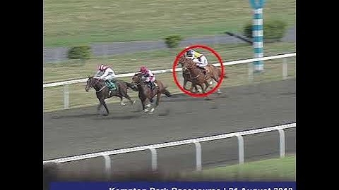 BHA Head of Handicapping  Dominic Gardiner-Hill explains how a handicap rating is decided