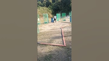 IPSC MINI RIFLE stage 6