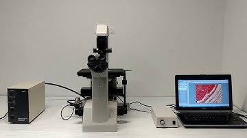 Nikon Eclipse TE200 Fluorescence Microscope Pred TE2000/Ti [BOSTONIND] - 14252