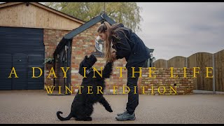 A Day in the Life at Protection Dogs Worldwide: Winter Edition