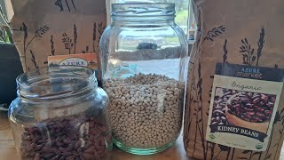 Fermenting Beans Q & A