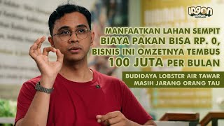 Ubah Kamar Jadi Kolam Budidaya Lobster Air Tawar, Kini Miliki 1.000 Mitra