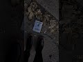 обережно крихка історія LA ГЛИБОКО Laannalogvyn глибоко обережно крихка історія LA ГЛИБОКО Laannalogvyn глибоко
