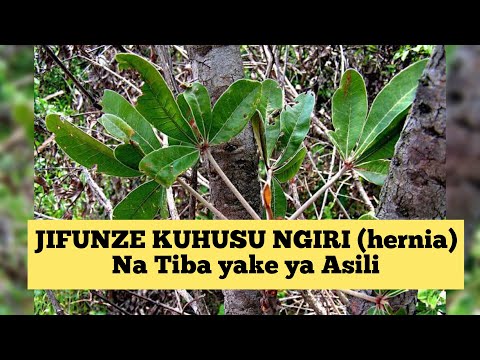 Video: Ujuzi Kama Utabiri Wa Uhusiano