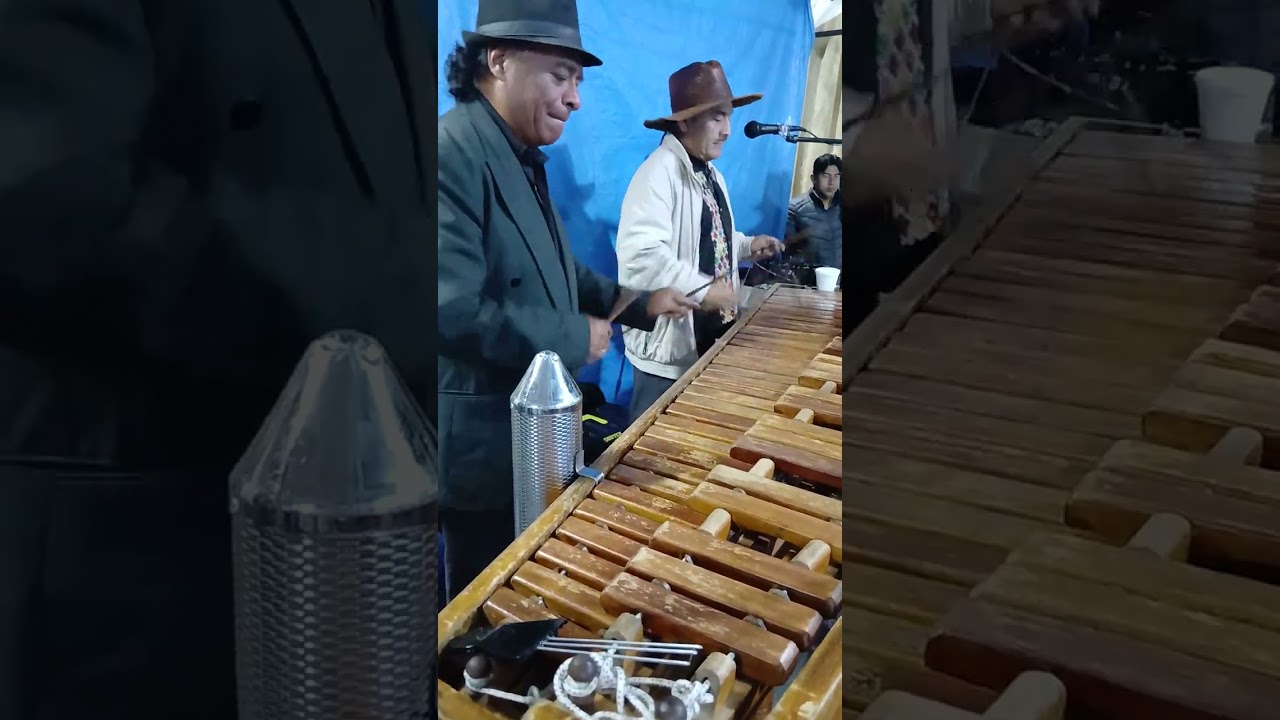 Marimba Orquesta: 