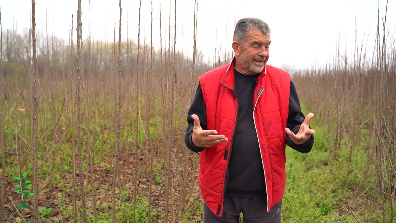 Svet rasadnika ep. 101 18.02.2023. Rasadnik 